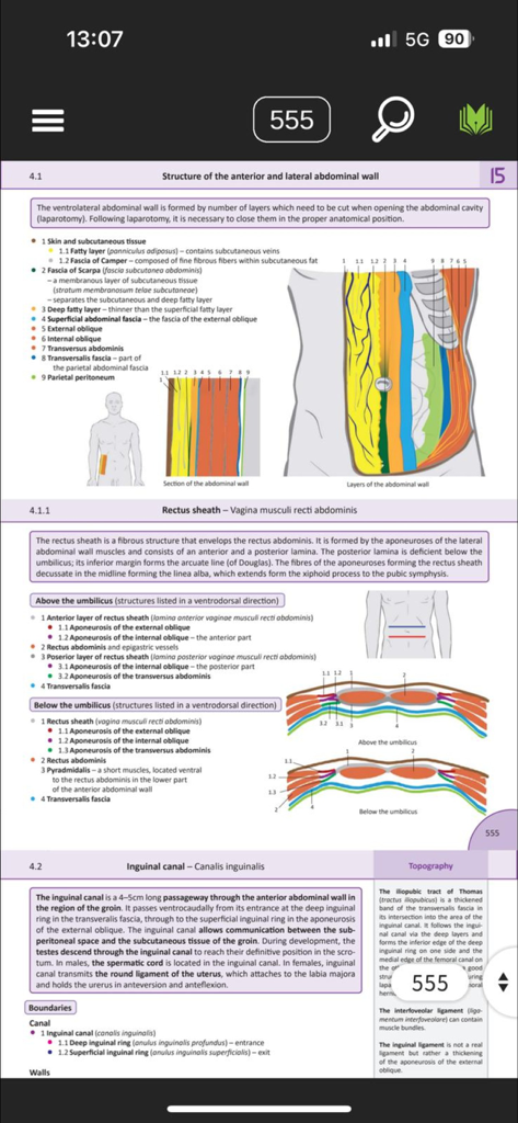 Memorix Anatomy and Histology - Una pagina dall'app Memorix Anatomy che mostra diagrammi anatomici dettagliati e descrizioni della parete addominale e della guaina dei retti.