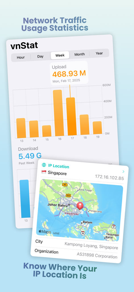 SwiftServer - Monitoring & SSH - SwiftServer mobile app screen showing network traffic usage statistics and server IP location tracking on a map.
