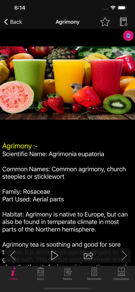 Natural Remedies Herbal - Página detallada de la hierba Agrimonia dentro de la aplicación Remedios Naturales mostrando su nombre científico y usos.