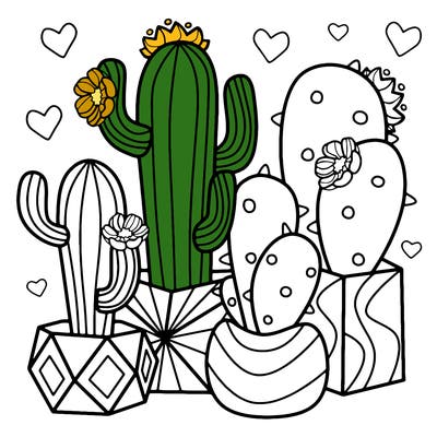 flowers_24_new