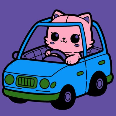 cat driving a car