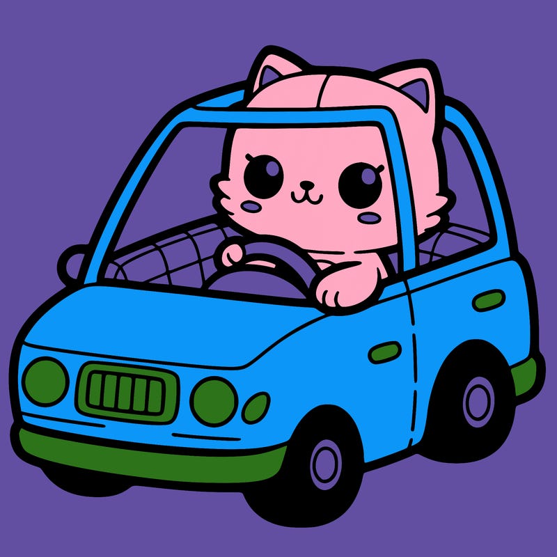 cat driving a car