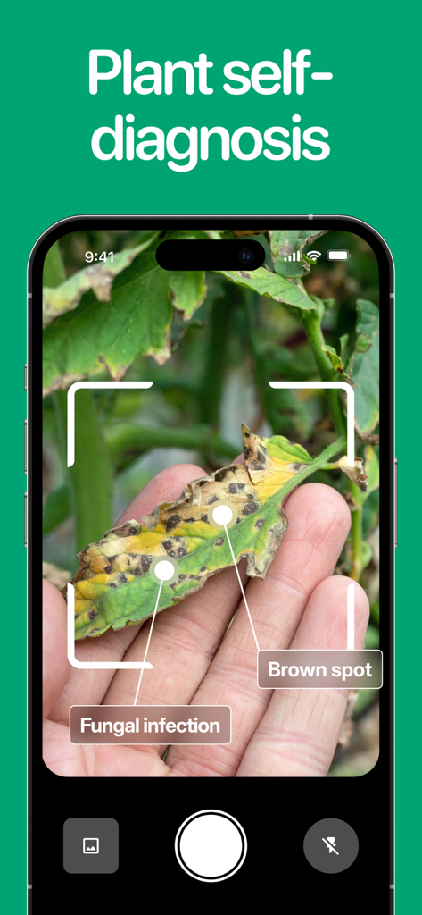 Planto: Plant Identifier - A smartphone interface scanning a plant leaf to identify fungal infection and brown spots using the Planto app.