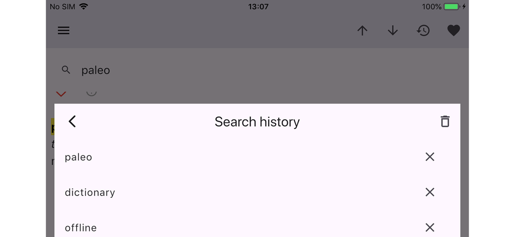 Search history interface in the Wielki slownik dictionary app showing recently searched words
