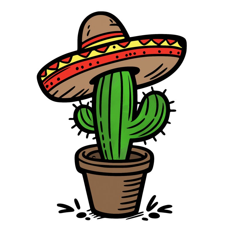 a cactus in a pot with a sombrero hat