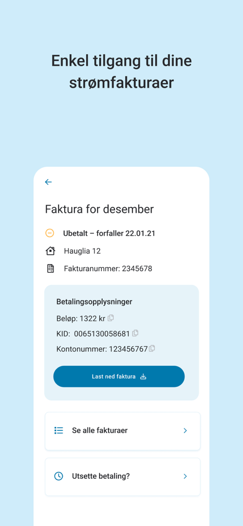 Mitt NTE - Interface of the Mitt NTE app displaying a detailed electricity bill for December with payment information