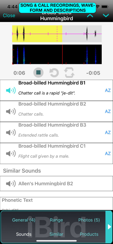 Enregistrements du chant et des cris du colibri à bec large avec formes d'onde dans l'application iBird Pro.