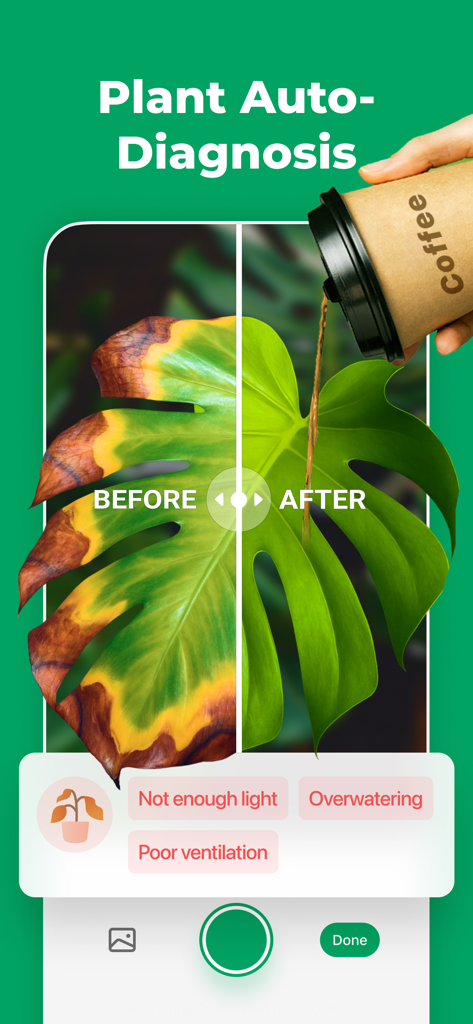 PictureThis 앱에서 몬스테라 잎의 이전/이후 비교와 함께 식물 자동 진단 기능과 과습, 조명 수준과 같은 관리 제안을 보여주는 모습