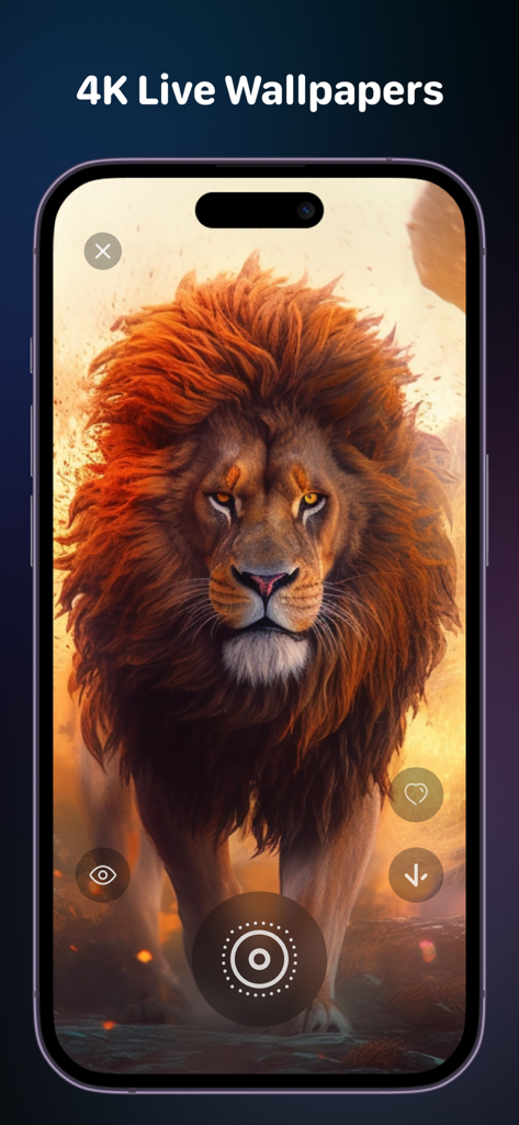majestätisches Löwen-4K-Live-Hintergrundbild auf einem iPhone-Bildschirm