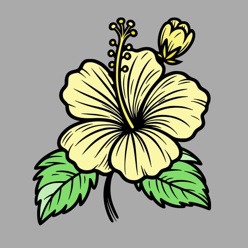 hibiscus flower