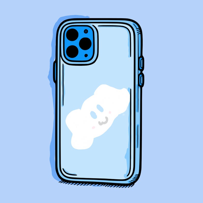 phone case