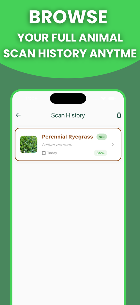 Grass Identifier: AI Scan - Scan history screen in the Grass Identifier app showing identified perennial ryegrass with AI scan results