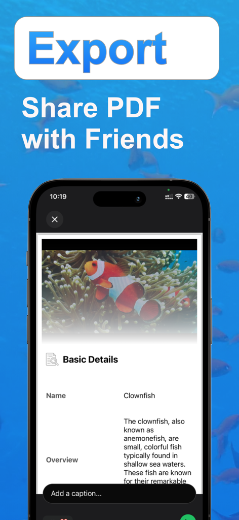 Fish Identifier: Scan & Find - 자세한 흰동가리이 보고서와 PDF로 내보내는 옵션을 보여주는 물고기 식별기 앱 화면.
