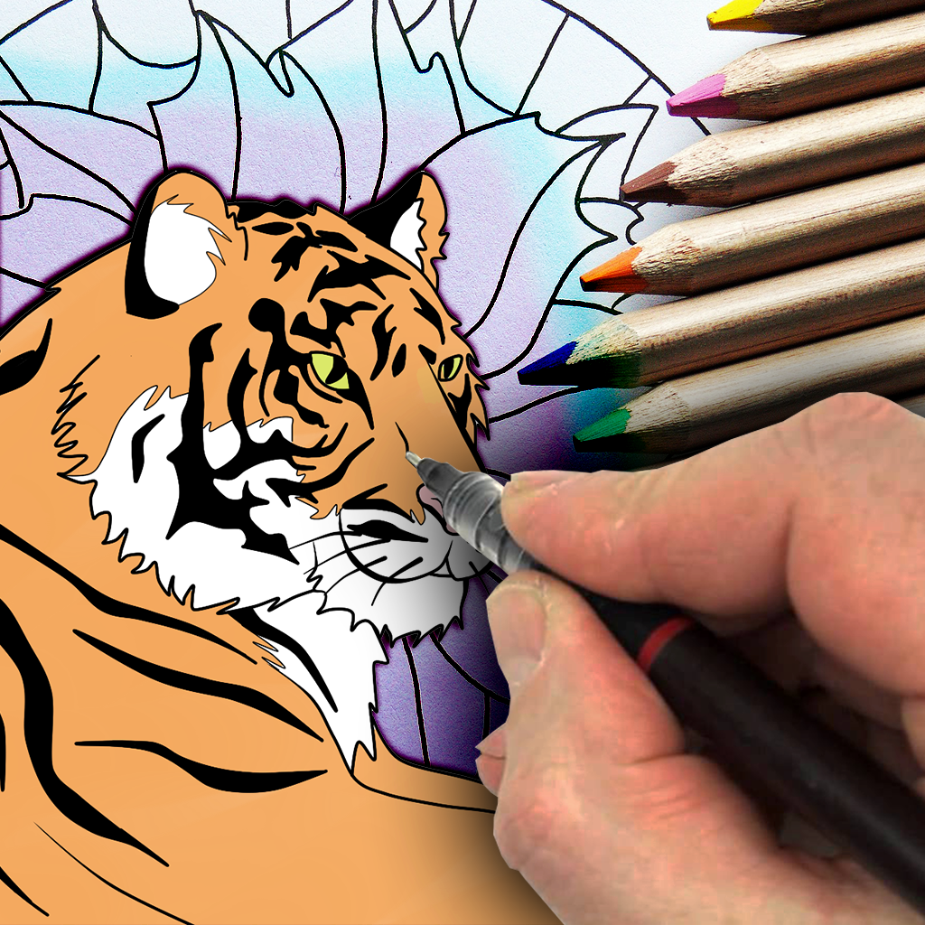 How To Draw Step By Step Easy - Entertainment App | MWM