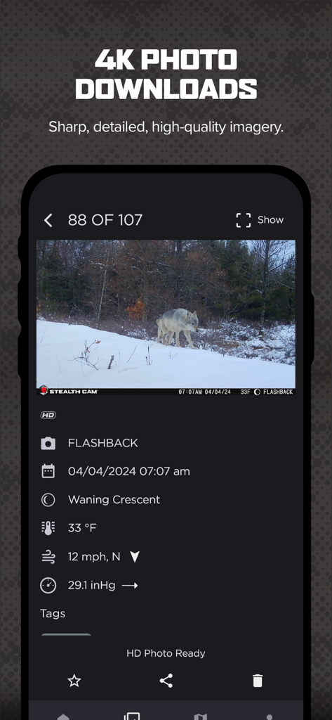 COMMAND PRO - COMMAND PRO app interface displaying a high resolution trail camera photo of a wolf with weather and solunar data