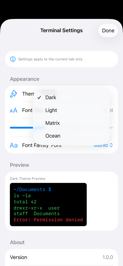 Terminal settings screen with theme selection dropdown and appearance preview