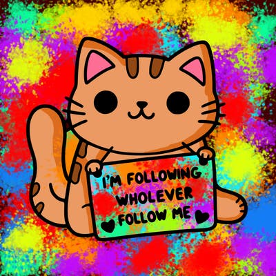 cat with a sign that says i’m following whoever follows me