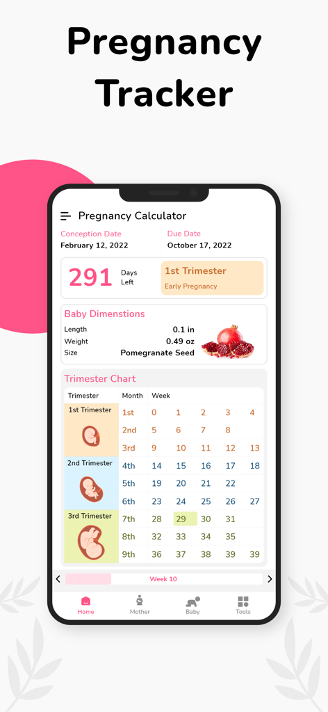 Mobile app interface of Pregnancy Tracker showing a trimester chart and baby size comparison to a pomegranate seed