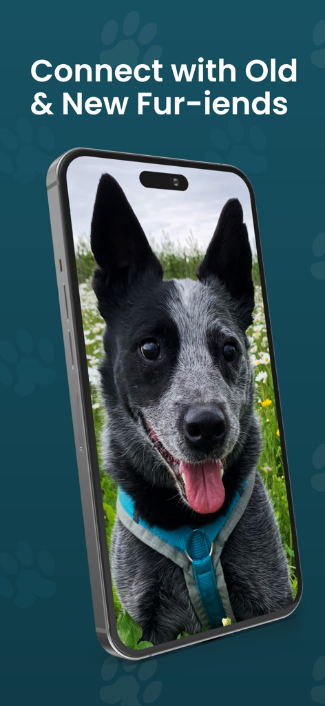 DOGLi - Dog Enrichment & Games - Smartphone screen showing a smiling dog with the text Connect with Old and New Fur-iends