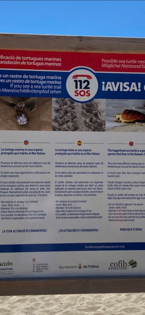 Informational beach sign about sea turtle nesting with multilingual text and emergency contact number 112.