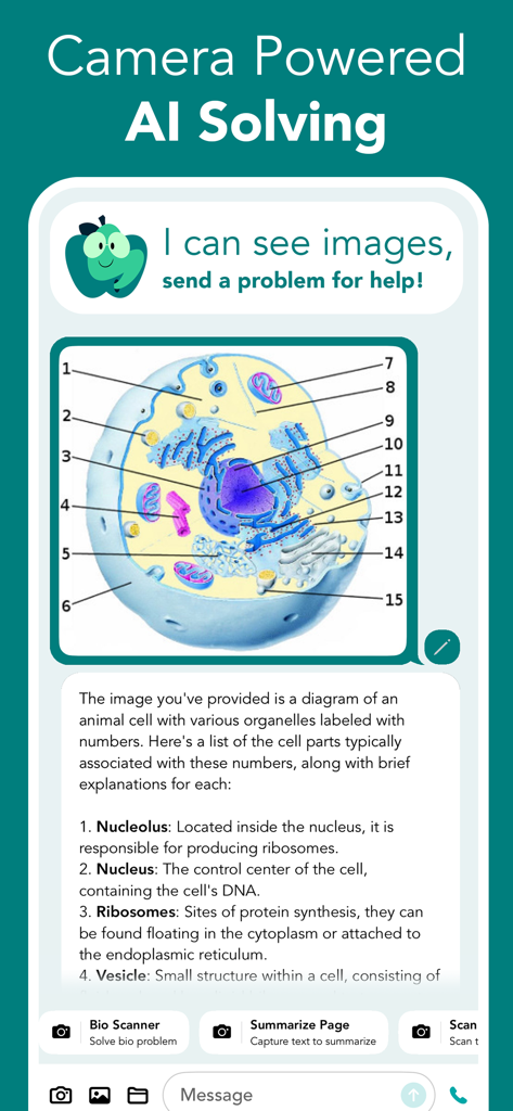 StudyAI - Web & Photo AI Tutor - StudyAI app identifying and explaining parts of an animal cell from a photo.