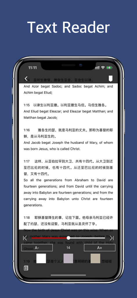 Text reader feature in the File Master app showing document viewing and display customization settings