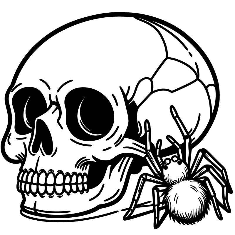 skull with spider