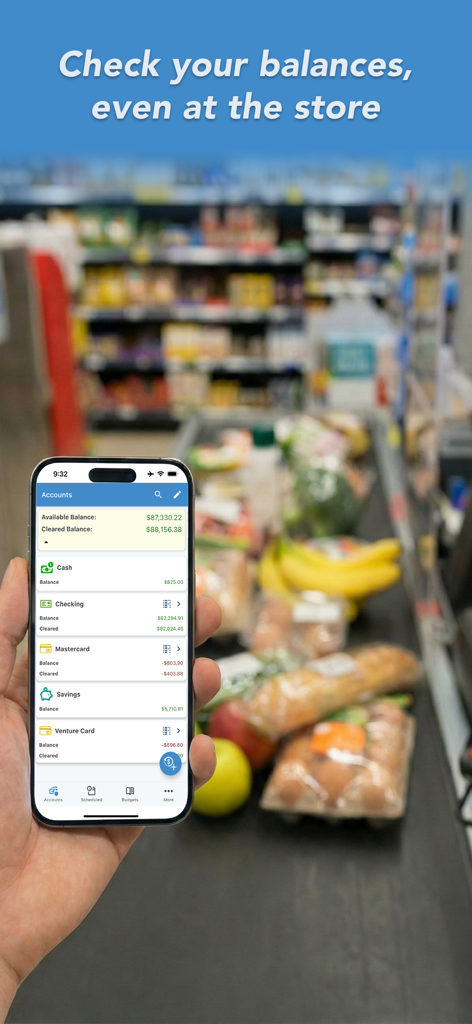 Checking account balances on ClearCheckbook app at a grocery store