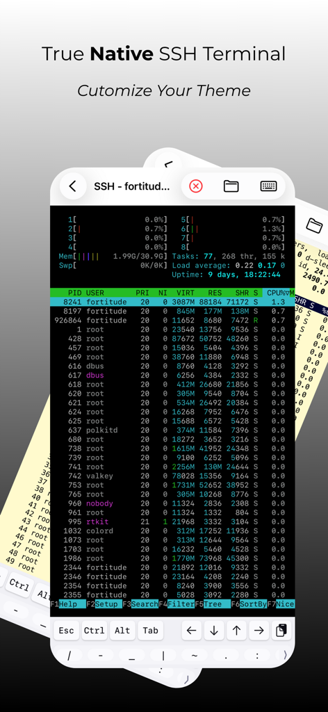 NovaAccess mobile app displaying a native SSH terminal with a live server process monitor and customizable dark theme