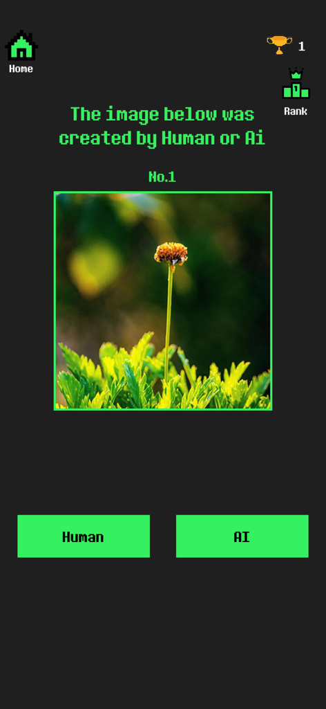 Pantalla de juego de la aplicación Humano o IA que muestra una imagen de una flor y botones para elegir si fue creada por un humano o por IA.