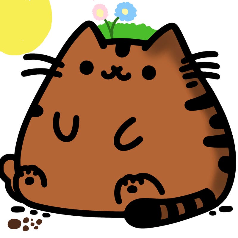 pusheen cat