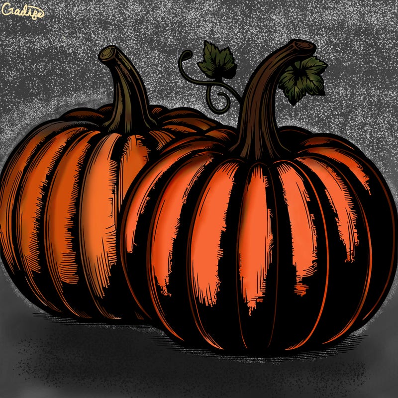 pumpkin  drawing realistic