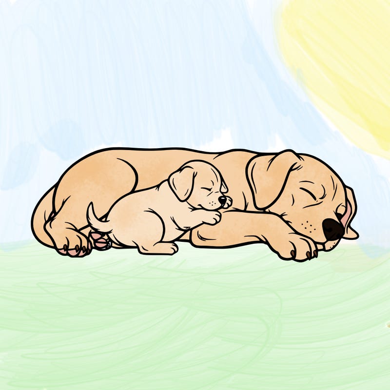 a cute baby puppy nursing while snuggled with its mama