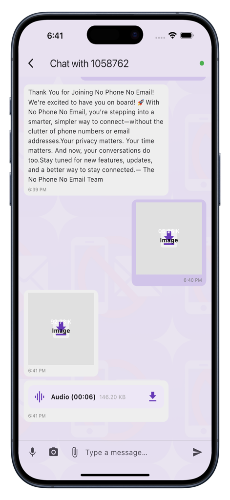 NoPhone NoEmail - Anonymous chat interface with encrypted text, image, and audio message sharing.