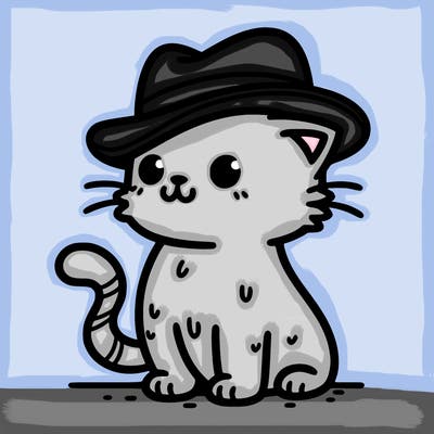 cat with a hat