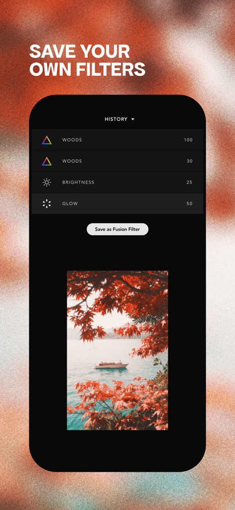Afterlight app screen for saving custom photo filters and viewing edit history.