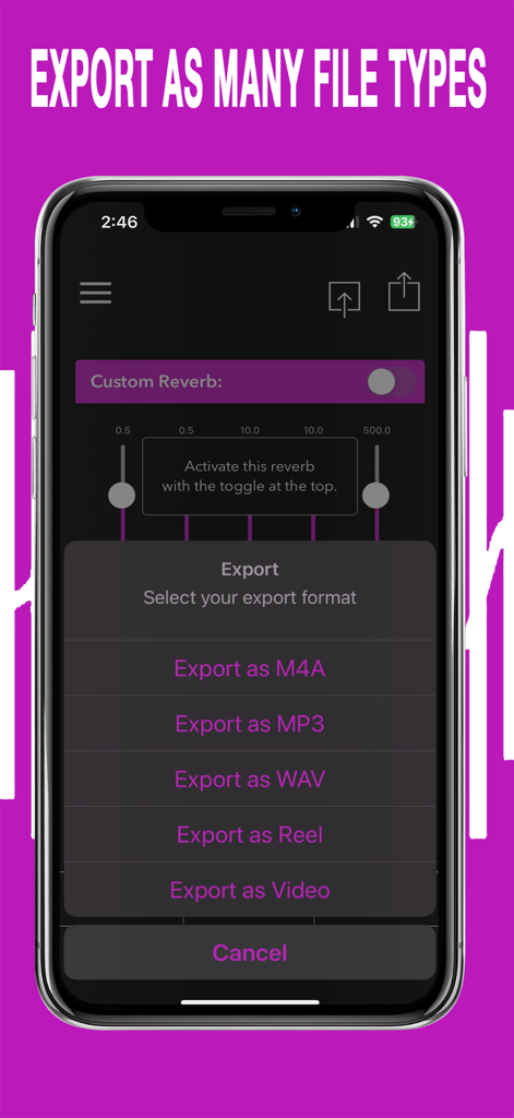 AudioVerb app screen showing export options for M4A, MP3, WAV, Reel, and Video formats.