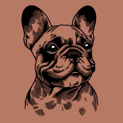 realistic french bulldog