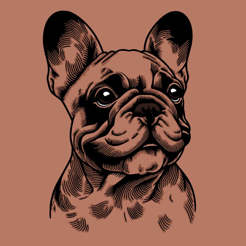 realistic french bulldog