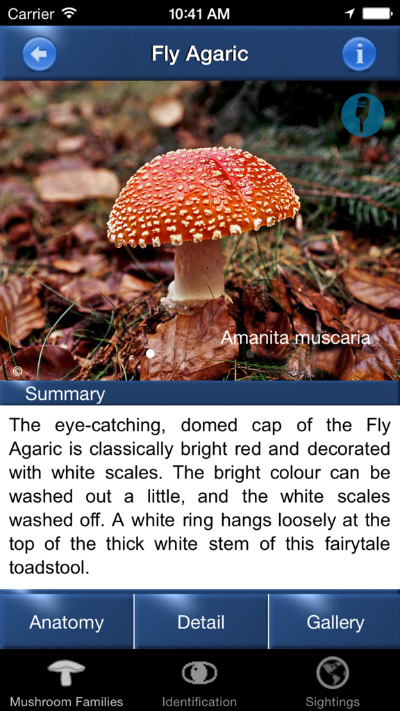 Schermata di identificazione del fungo Amanita muscaria con cappello rosso e scaglie bianche