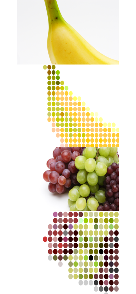 dot ART - Mosaic Effects App - A comparison showing fruit photos transformed into colorful dot art and mosaic patterns.