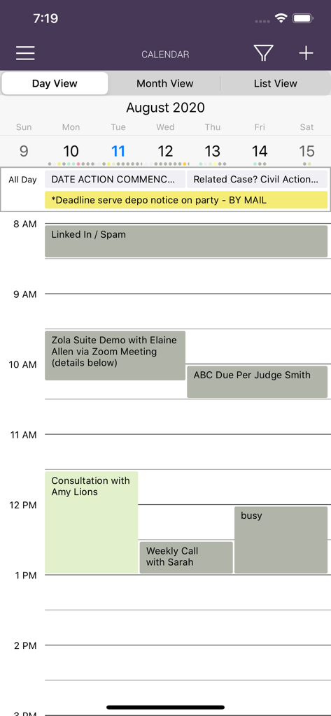 CARET Legal mobile app daily calendar view displaying lawyer appointments and court deadlines