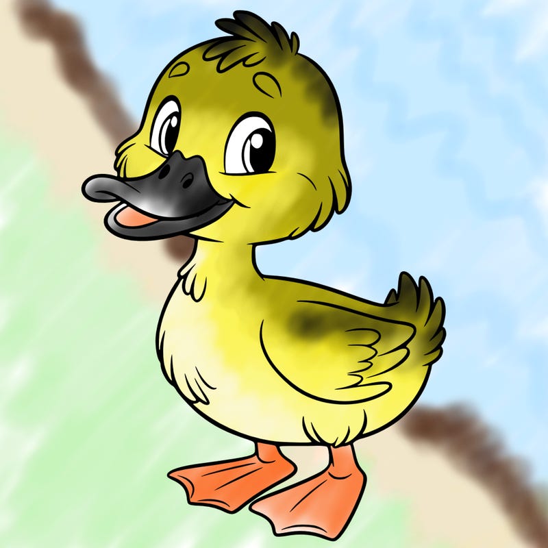 duck