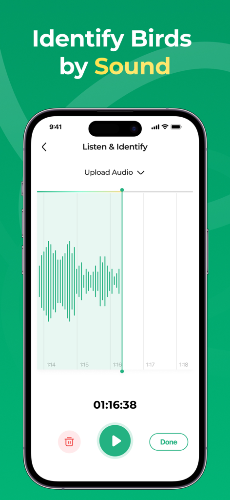 BirdScope: Bird Identifier - BirdScopeアプリのスクリーンショット。音声波形録音付きの、鳴き声で鳥を識別するインターフェースが表示されている。
