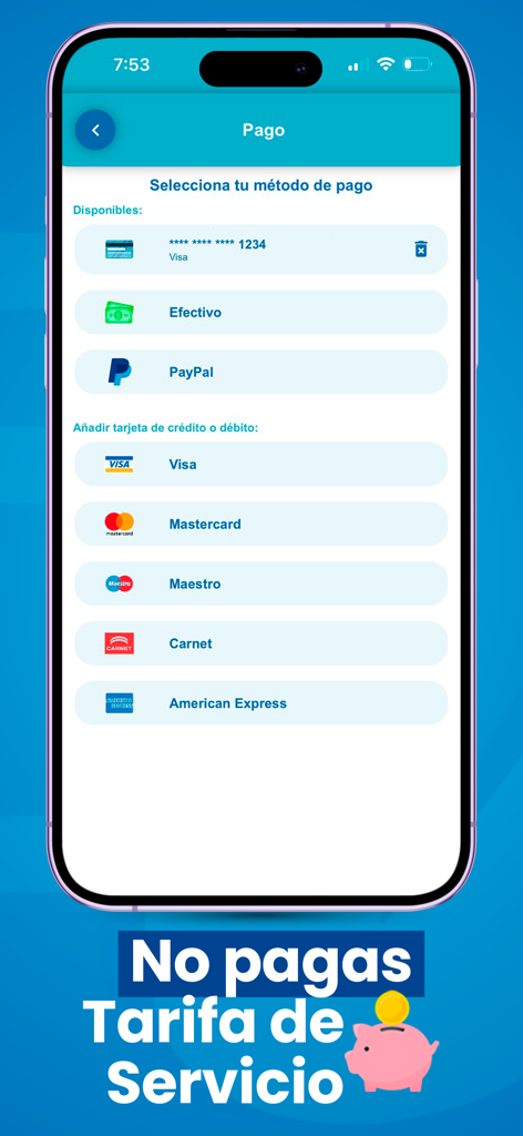 Vesli app payment selection screen featuring various credit card options PayPal and a no service fees message
