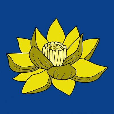 flowers_08