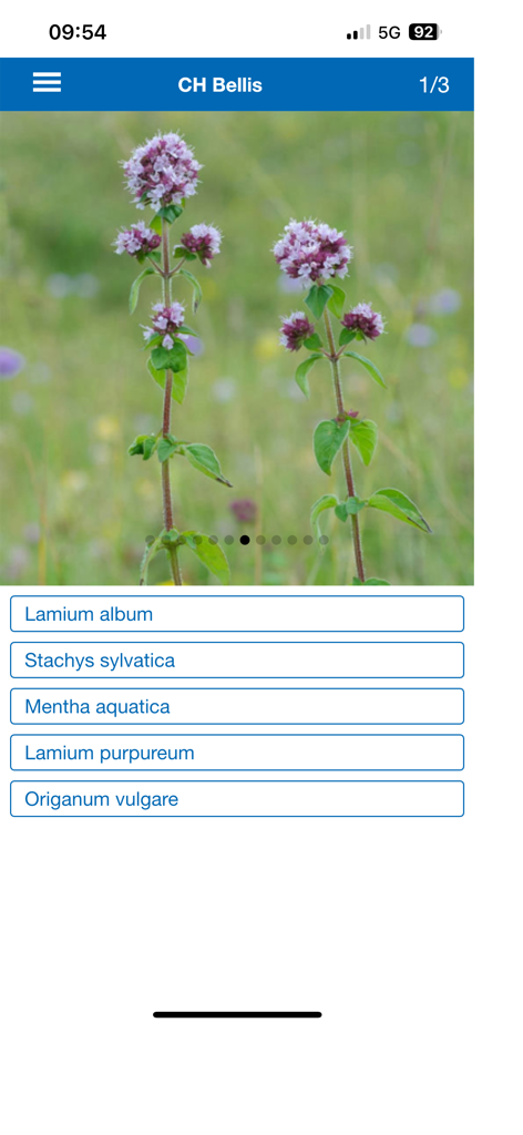 A multiple-choice plant identification quiz in the Feldbotanik app showing a photo of purple flowers and botanical name options