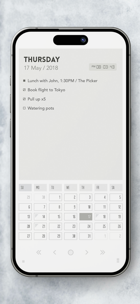 Flink - Daily Planner & To-Do - Interface minimaliste de style E-ink affichant une liste de tâches quotidiennes avec des puces et une vue calendaire mensuelle.