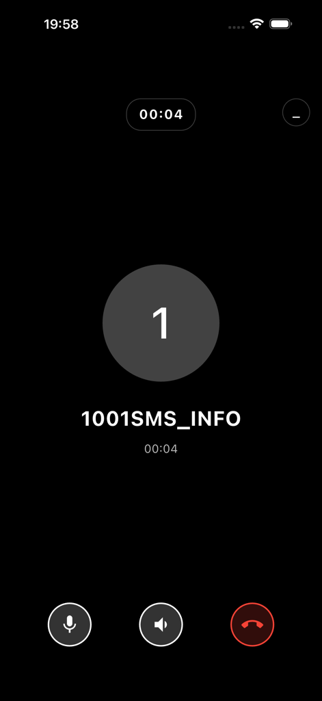 1001SMS —Anonymous Chat, Calls - Interface of a private anonymous voice call in the 1001SMS app showing a call timer and control buttons