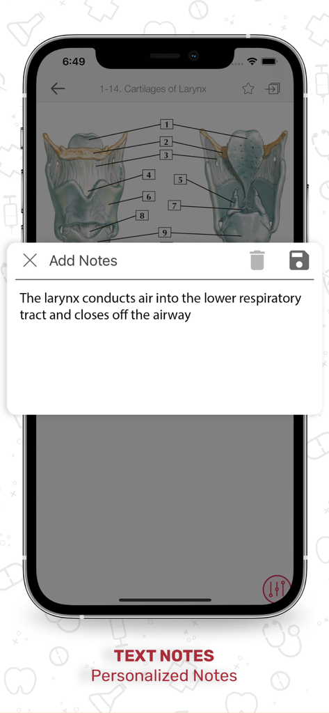 Netters Anatomy Flash Cards - Personalized notes feature on an anatomy flash card of the larynx.